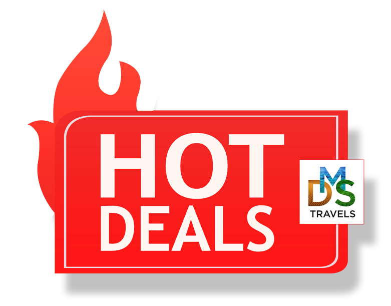 Hot Deals