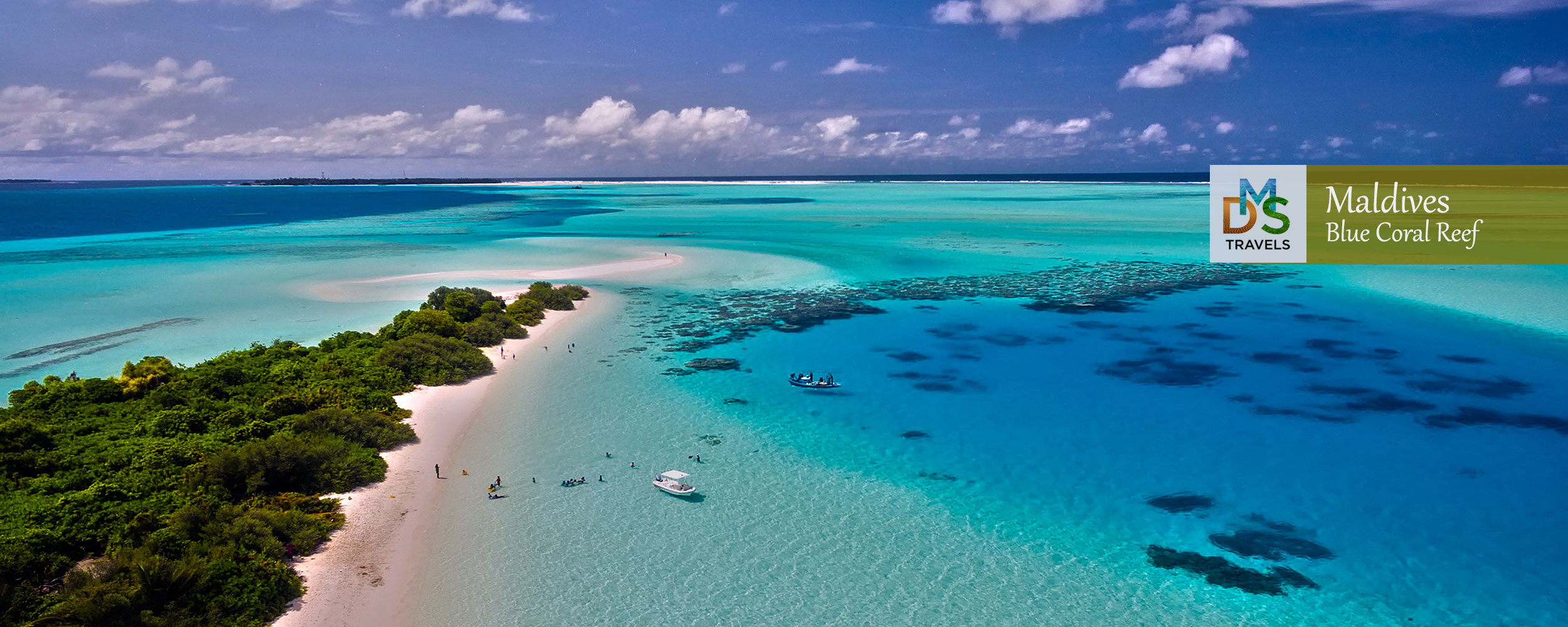 Coral Reef Maldives